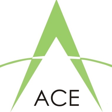 Ace interiors