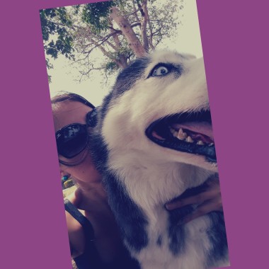 Kim's Dog Walker CR