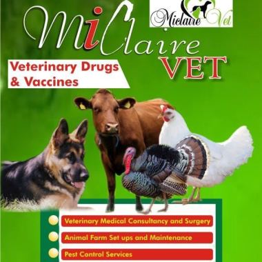MiClaire Gold Label International Services 
