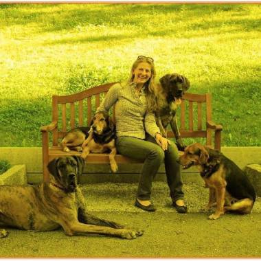 Dogs Life