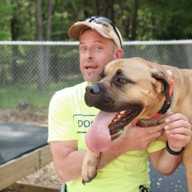Canine Behavioral Services Inc.