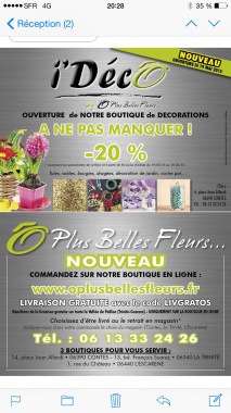 O plus belles fleurs 