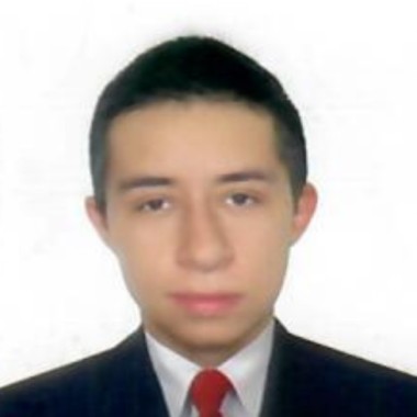Conductor profesional