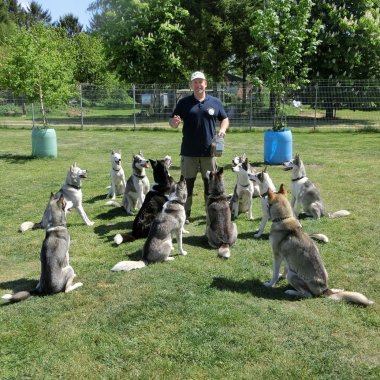 Dogcircle Hundeschule To Go