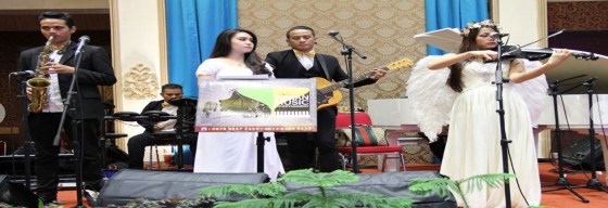 Taman Music Entertainment