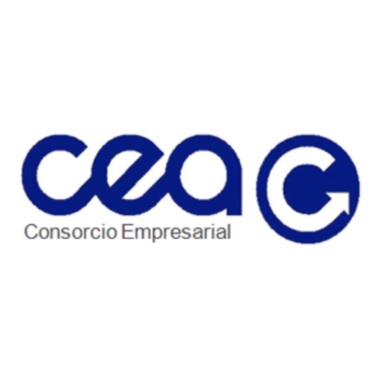 CEA SERGURETAT Y SERVEIS
