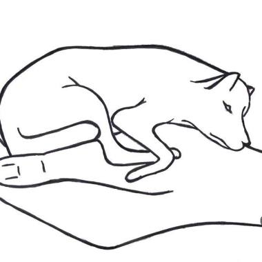 Hundeteam-mobil