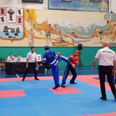 Monitor de kickboxing, para gimnasio o personal