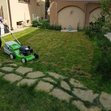 Amenajare spatii verzi, montaj rulouri de gazon, gazonare prin insamantare, intretinere  etc.