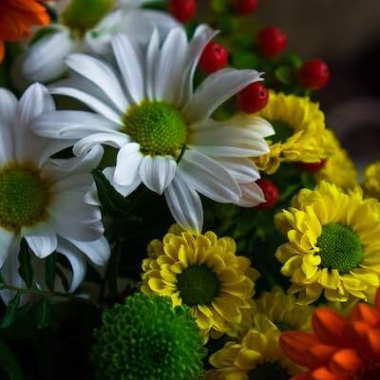 Https://flowershopping.gr/el