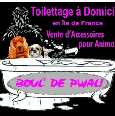 BOUL' DE PWAL Toilettage à Domicile