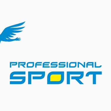 Professional Sport