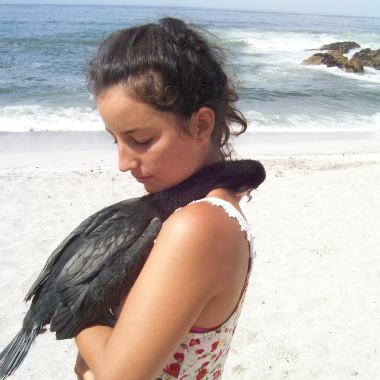 Veterinario de aves