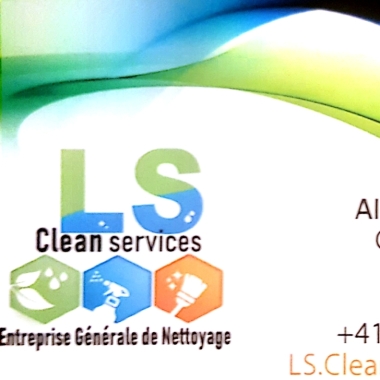 L.S Clean services