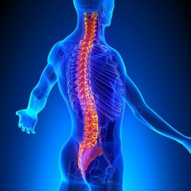 Quiromasaje y osteopatía