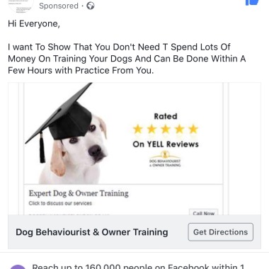 Dog Behaviourist & Owner Training