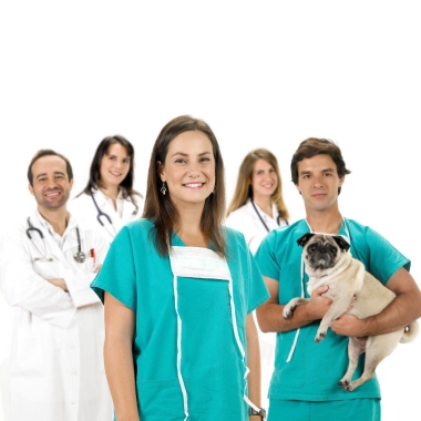 House Vet Hospital veterinário de Paço de Arcos