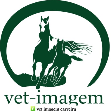 Vet Imagem Sul