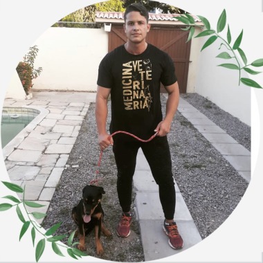 Dog friend