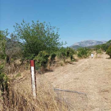 Γιωργοσ