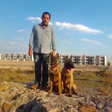 Adiestramiento canino EDU-CANE
