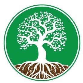 Jay Son Trees