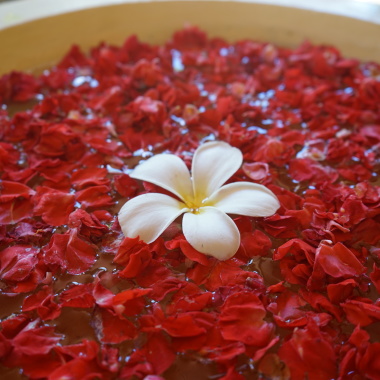 The Wellness Spa