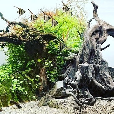 Aquaflow scaping