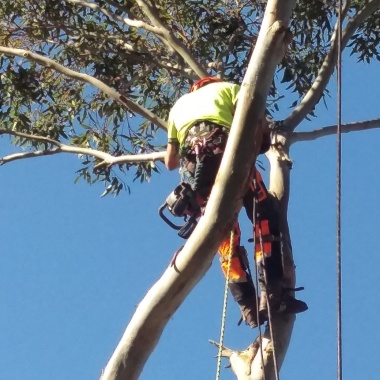 Leaf It To Me Tree Services
