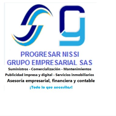 Progresar nissi grupo empresarial sas