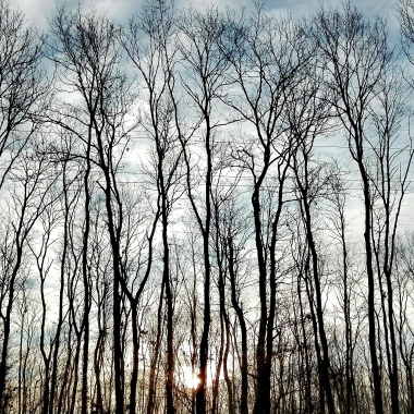 HarrySun photography