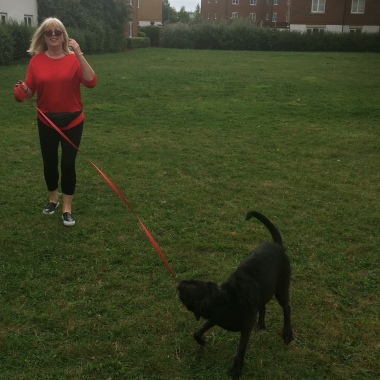 Evelyne's Pampered Pets