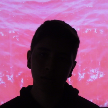 Compositor profesional