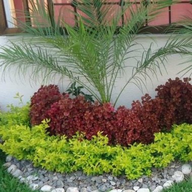 Servicio de jardineria tajica