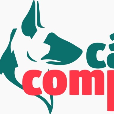 Cão Comportado Adestramento