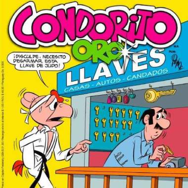 Ceevicio cerrajero de leon