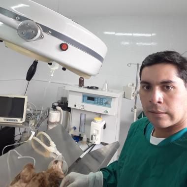Servicios médicos veterinarios