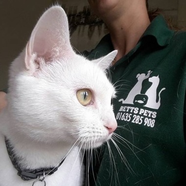 BETTS PETS