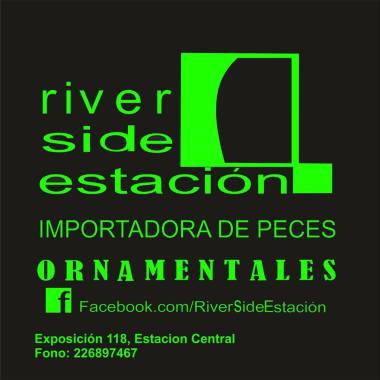 River Side Estación