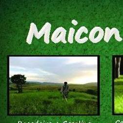 Maicon Jardinagem