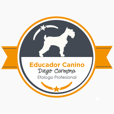 Diego Fernando Carmona Arboleda