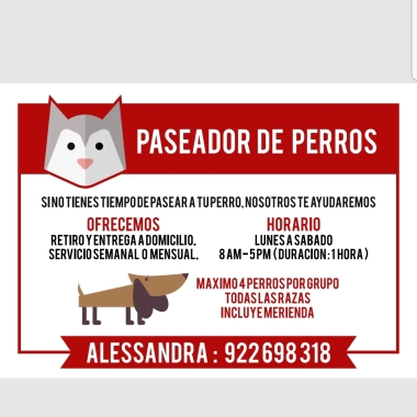 Paseo de perros Alessandra