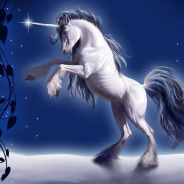 Academie La Licorne