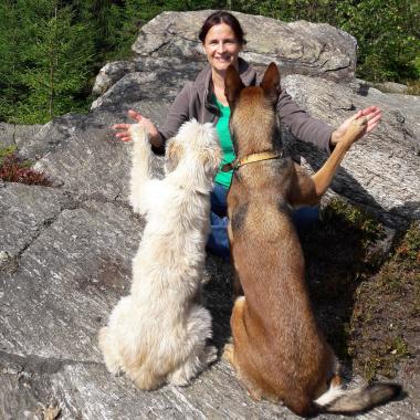 Hundeschule Bello Fantastico
