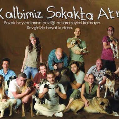 Öz-Vet Veteriner Kliniği