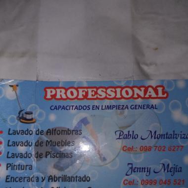 Professional