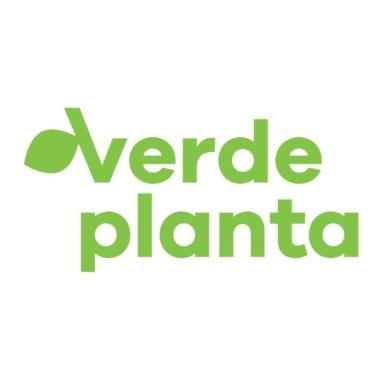 Verde Planta