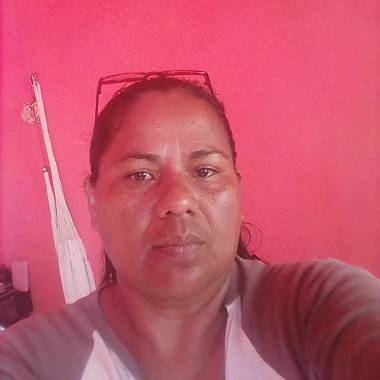 Parecía viveros cruz