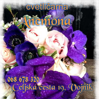 Cvetličarna Anemona