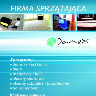 Damex. Firma usługowo - sprzątająca